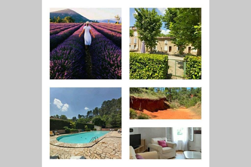 Eblouissant Au Calme D'une Avec Piscine Idealement Situe Au Pied Du Colorado Provencal Dans Le Prestigieux Luberon Apartment