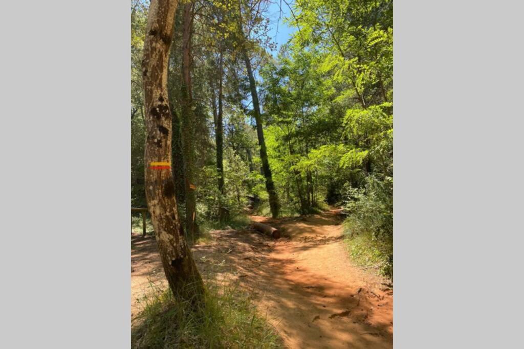 Eblouissant Au Calme D'une Avec Piscine Idealement Situe Au Pied Du Colorado Provencal Dans Le Prestigieux Luberon * Rustrel