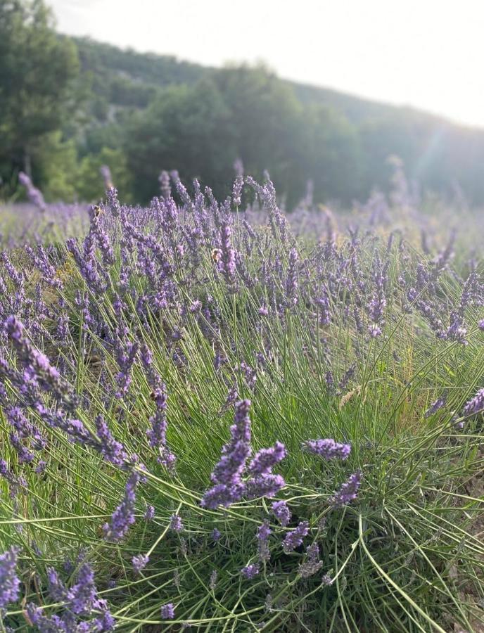 Superbe En Résidence Avec Piscine Dans Le Luberon Au Pied Du Colorado Provencal Rustrel